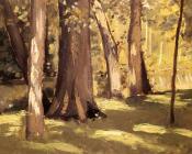 古斯塔夫 卡里伯特 : The Yerres Effect of Light